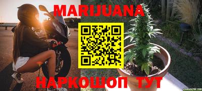 МДПВ Пугачёв