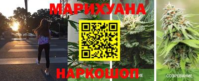 МДПВ Пугачёв